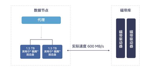 英特爾傲騰技術 高效解決冷數據存儲挑戰，賦能數據處理與存儲服務